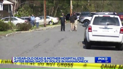 Download Video: Two-Year-Old Dead; Knife-Wielding Mother Shot by Police