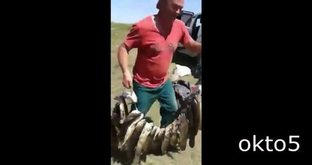 Si ça n'avait pas été filmé vous n'y auriez pas cru...