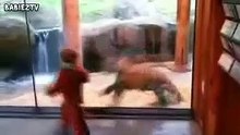 Kid Who Mimic This Animal in The Zoo Had an Amazing Time! Watch!!!
