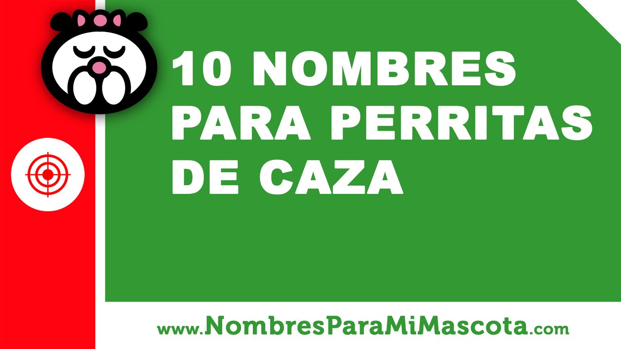10 nombres para perritas de caza - los mejores nombres de mascota - www.nombresparamimascota.com