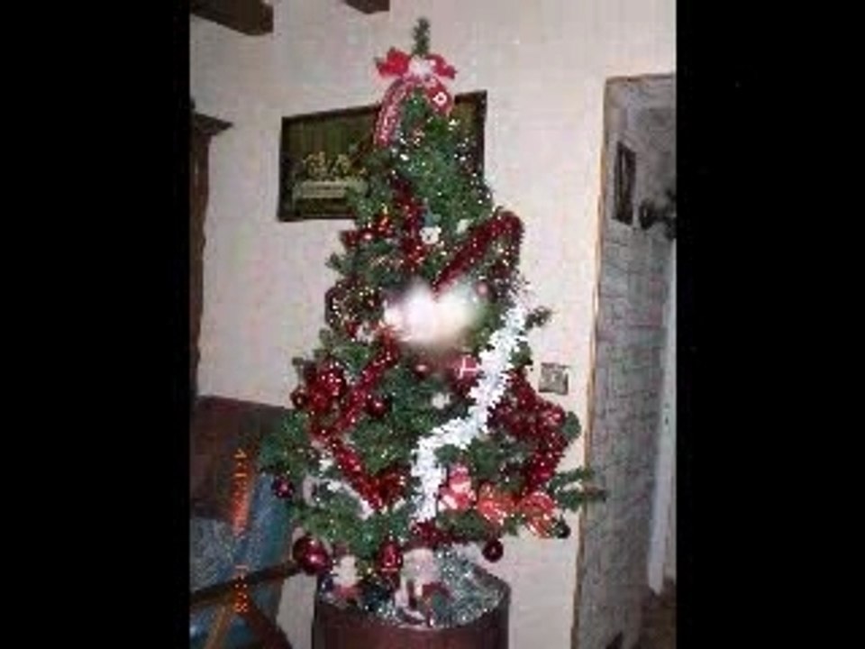 20071204-170010