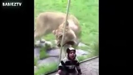 Interesting Footage_If Not The Glass Screen, What Would Happen Here?