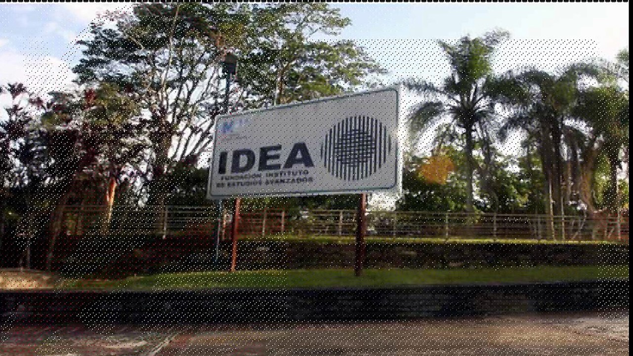Yammine te responde ¿Qué es IDEA?