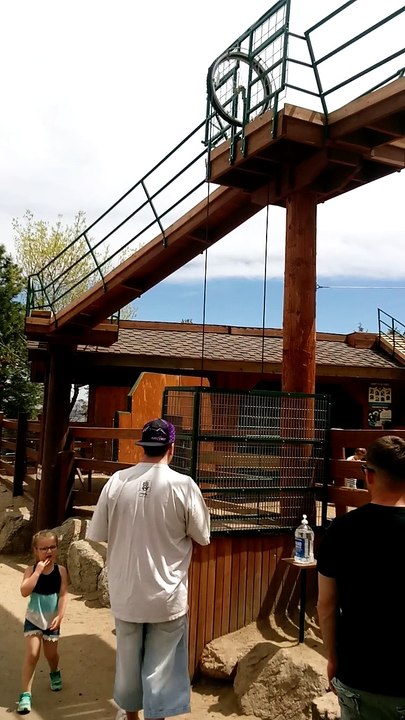 Smartest Goat EVER!!! You Gotta See It To Believe It