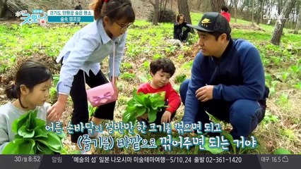 경기도 양평 숨은 명소! 힐링을 위한 '숲속 캠프장'은?