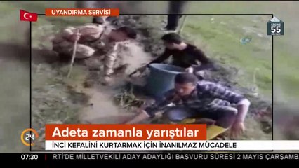 Sürü yolunu şaşırdı