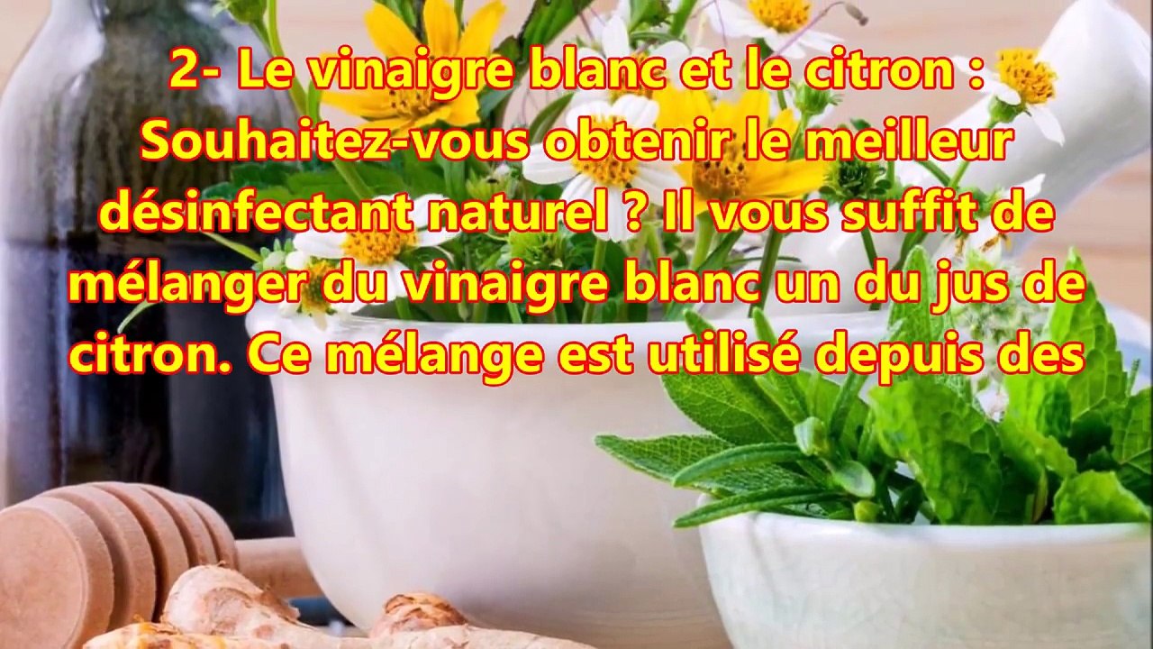 3 astuces naturelles et rapides pour éliminer le tartre des toilettes
