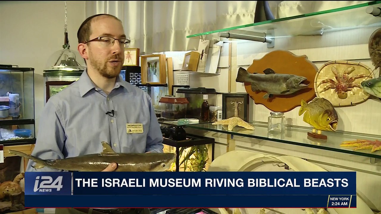 i24NEWS DESK | The Israeli Museum riving biblical beasts | Monday, April 30th 2018