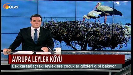 Avrupa leylek köyü
