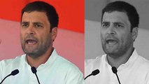 Rahul Gandhi ने Congress Members को बताया शेर, BJP का उड़ाया मजाक | वनइंडिया हिंदी