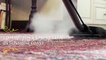 Carpet Cleaning Sunshine Coast | Best Carpet Cleaners Sunshine Coast, Brisbane, Sydney & Adelaide