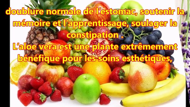 L'aloé Véra, une plante extrêmement bénéfique pour les soins esthétiques