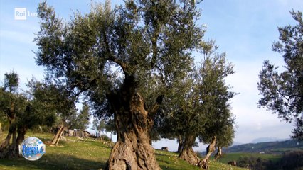 Paesi Che vai puntata 29 aprile 2018 Barletta Andria Trani