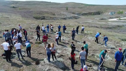 Açıköğretim Ormanları büyümeye devam ediyor