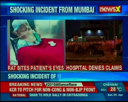 Rats nibble right eye of coma patient at Bal Thackeray Trauma Care Hospital in Mumbai
