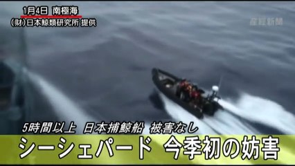 シー・シェパードが今季初の妨害行動 けが人なし - YouTube