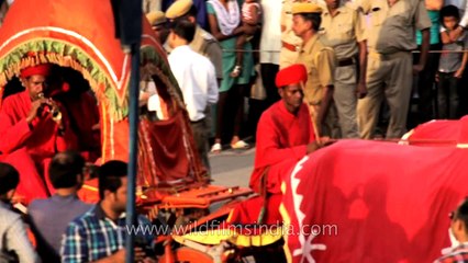 Bulls wear red coats and pull carriage in full regalia - only in India!