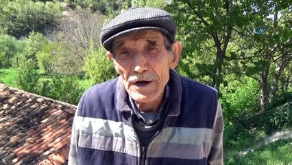 Ceviz üreticisini don vurdu