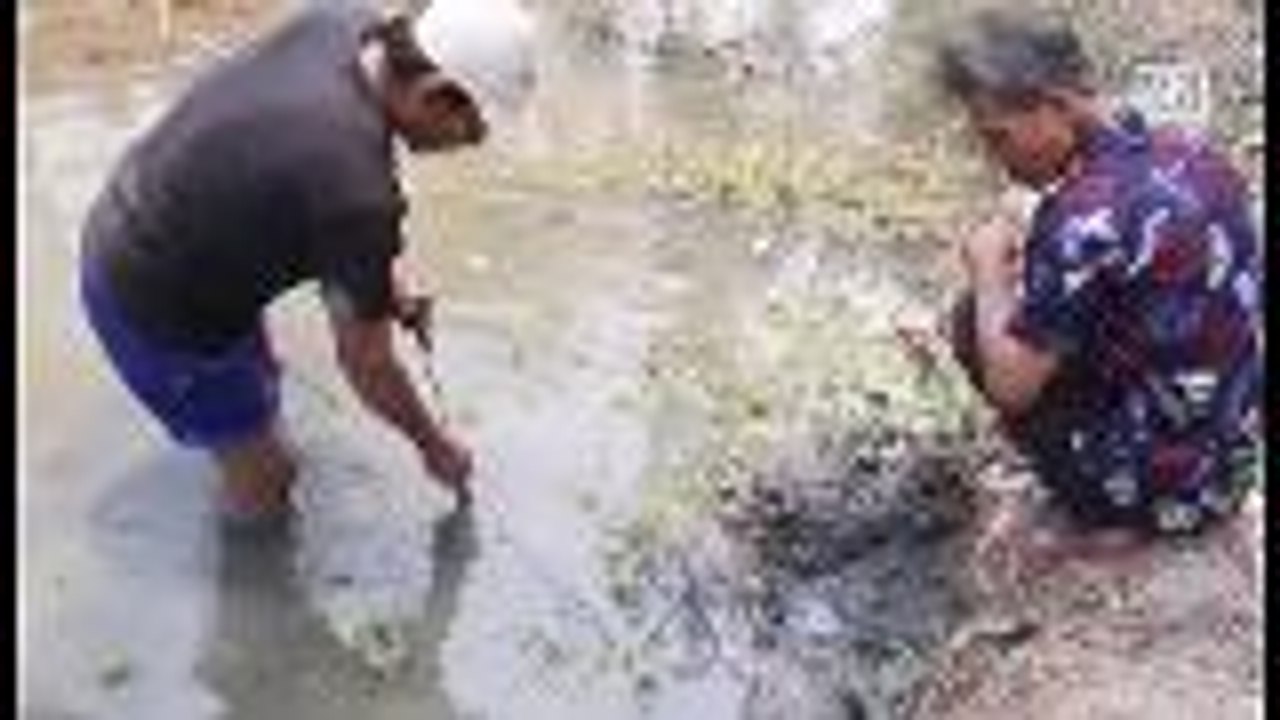 Expert eel catcher in northeastern Thaialnd