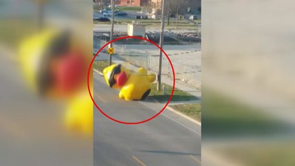 도로 점령한 '거대 오리'의 정체는? / YTN