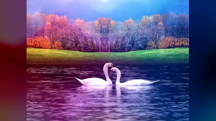 Moni Kishor Bangla Song 2018 🎶 by AddrianFILMS