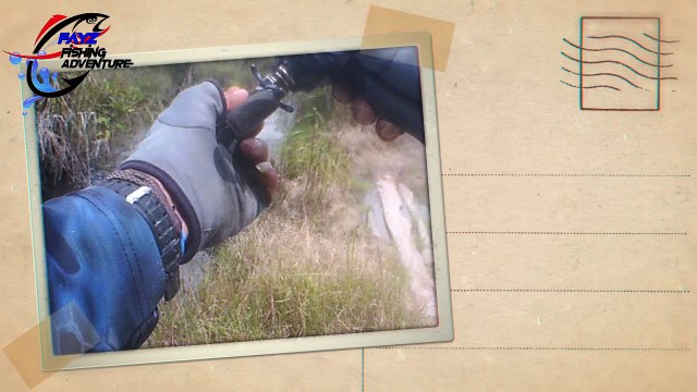 EP #7 Nemu Spot Ikan Gabus Potensial, Tapi Malah Jumpa Hewan Ini ...