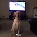 a cold one hand delivered by a good doggo[via YouTube / Mike Lawson]