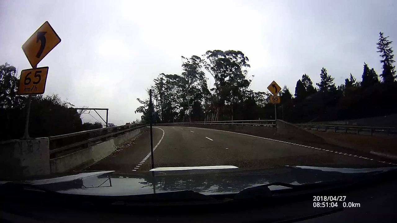 Tourists Dangerously Cross Road