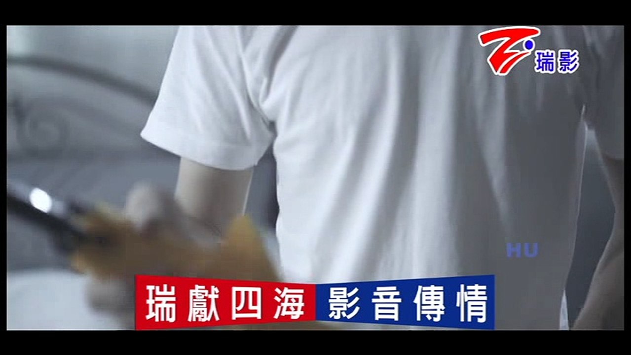 鄭興-台北下的雨