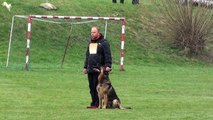 Stopper un chien en pleine course sur commande