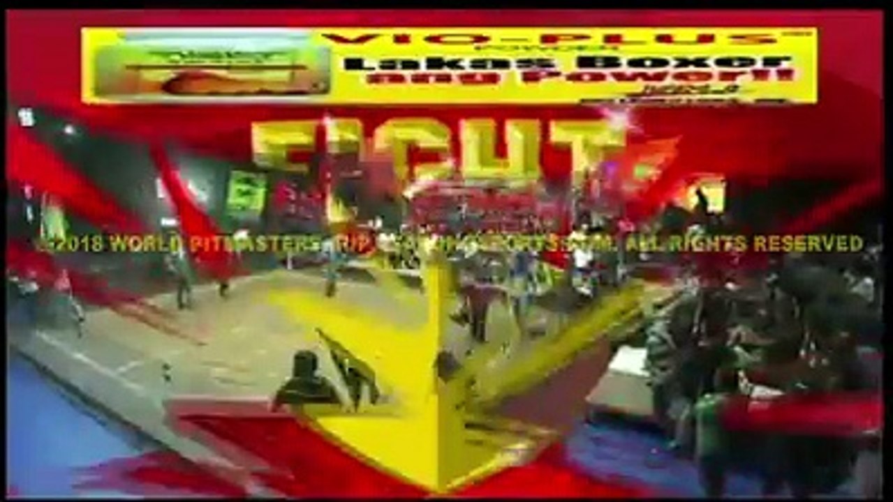 WORLD PITMASTER CUP 2018 "ARAYAT" vs "AAO ZARA 1"