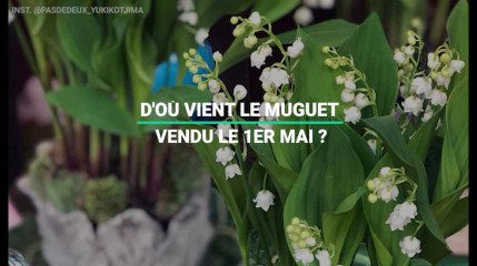 D'où vient le muguet que vous achetez le 1er mai ?