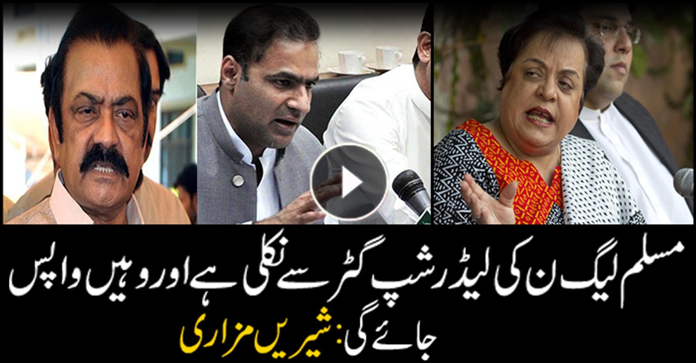 PTI's Shireen Mazari takes a jibe at PML-N leadership