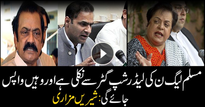 PTI's Shireen Mazari takes a jibe at PML-N leadership