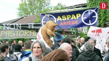 1200 opposants à l'ours à Pau