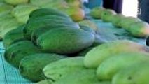 Mango festival promotes fruit during dwindling season