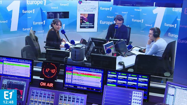 Pau : plus de 1.200 manifestants contre la réintroduction d'ourses en Béarn