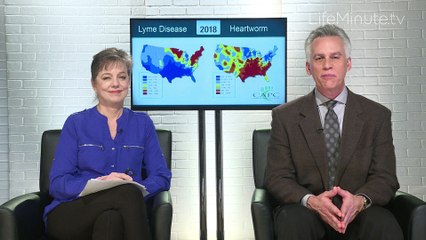 Protect Your Pet and Your Family from Dangerous Parasites