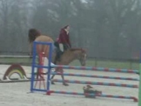 Olmifon ( horse 2002 ) with Laura Kraut for hunter / jumper