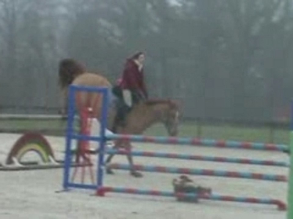 Olmifon ( horse 2002 ) with Laura Kraut for hunter / jumper