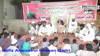 Hafiz Anwaar ul Hassan Qadri, Urs Mubbarik 2018, Syed Muhammad Shahswar Ali Shah