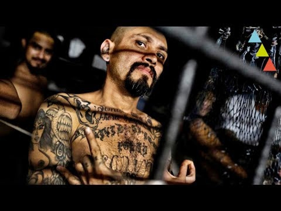 Las pandillas más PELIGROSAS del mundo