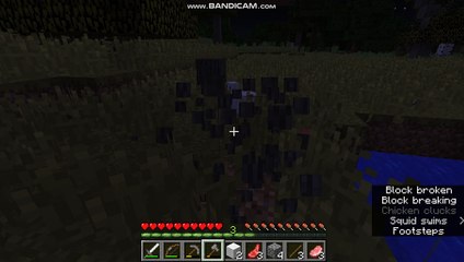 Minecraft 10: Hunt Monters