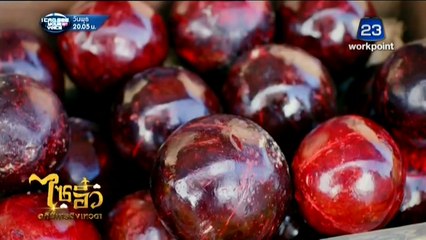 CEP.52-ไซอิ๋ว อภินิหารลิงเทวดา-iseriesonline.net