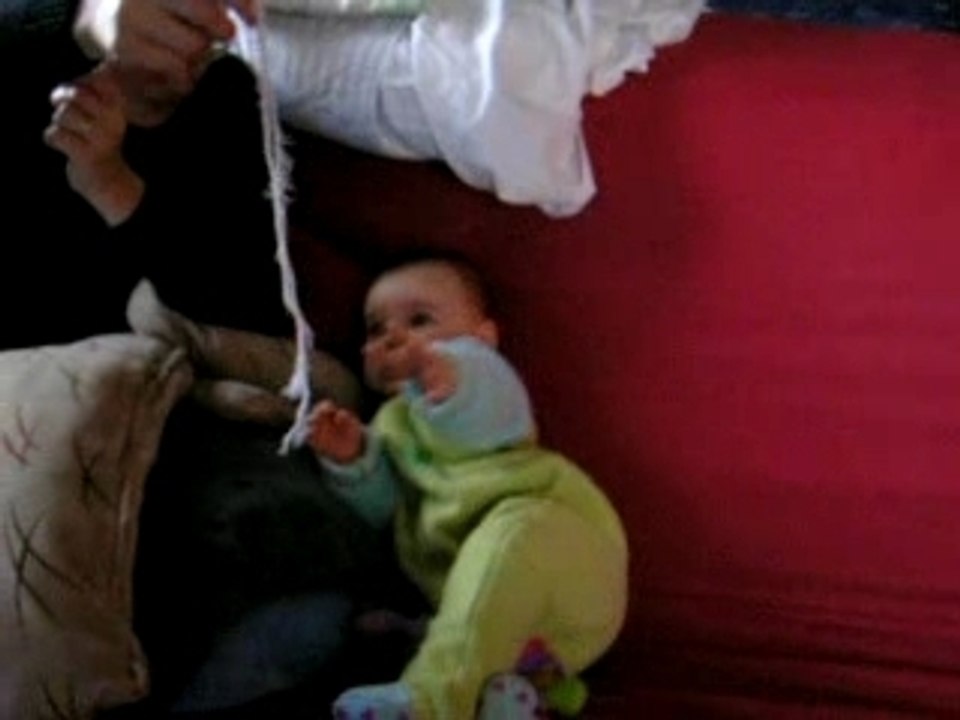 241107 loulou qui fait le chat