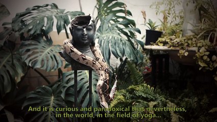 Tráiler del documental "SÂDHAKA, La senda del yoga", de Nicolás Gauthier.