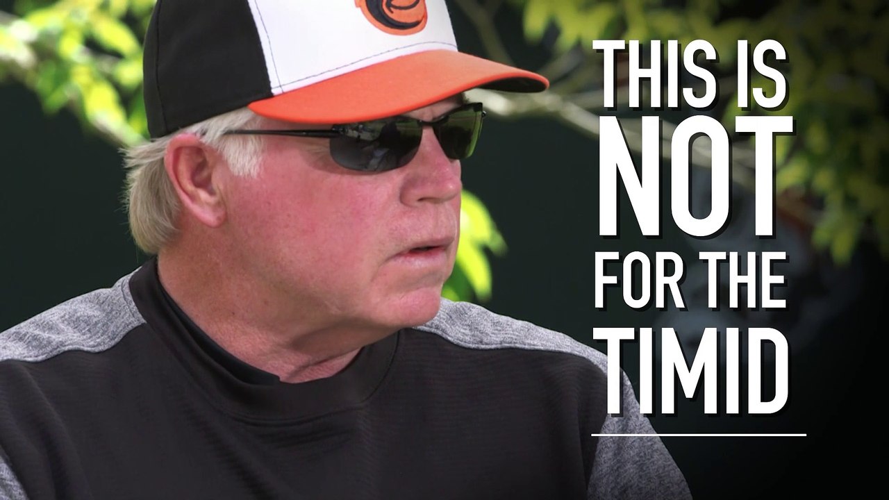 Manager's Day on Baseball Stories