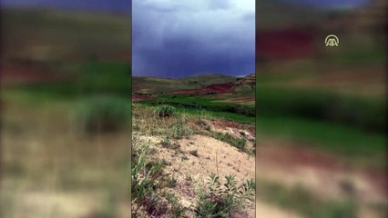 Arazide bulunan 2 EYP imha edildi - ELAZIĞ