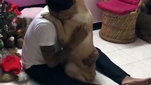 Labrador abraça seu dono após cirurgia para remover um nódulo do pescoço