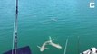 Ce couple américain en bateau reçoit la visite de 3 requins et d'un crocodile... Vive la floride
